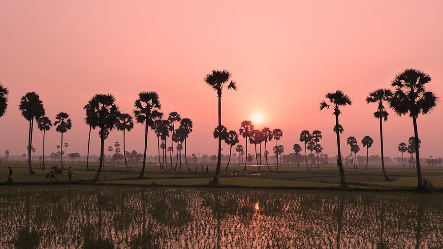 Sunset Photograph by Satyamurthy