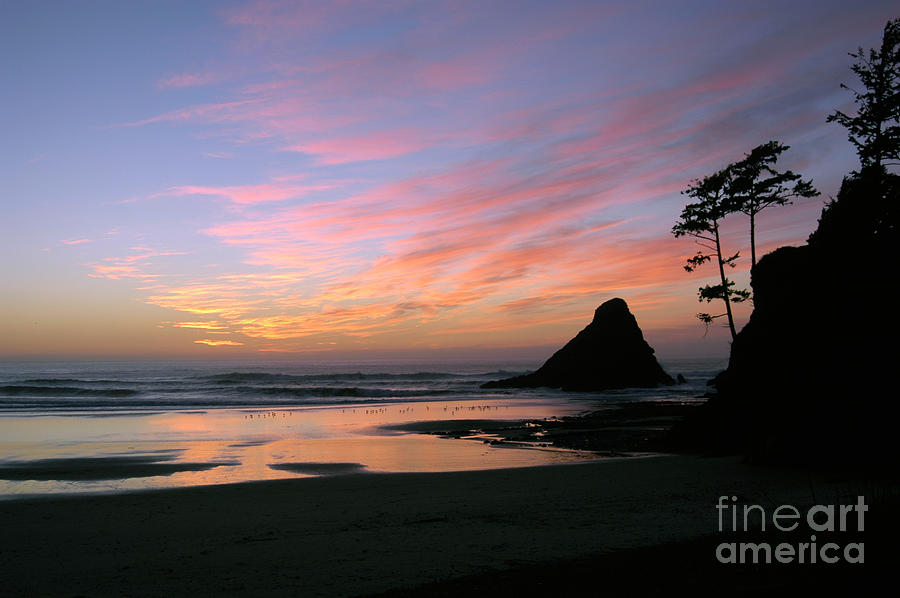 Sunset Sea Stacks Photograph by Denise Bruchman