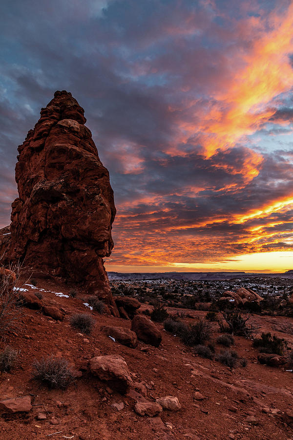 Sunset Sentry Photograph by James Marvin Phelps - Fine Art America