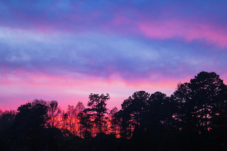 Sunset Silhouette 1 Photograph by Mary Ann Artz