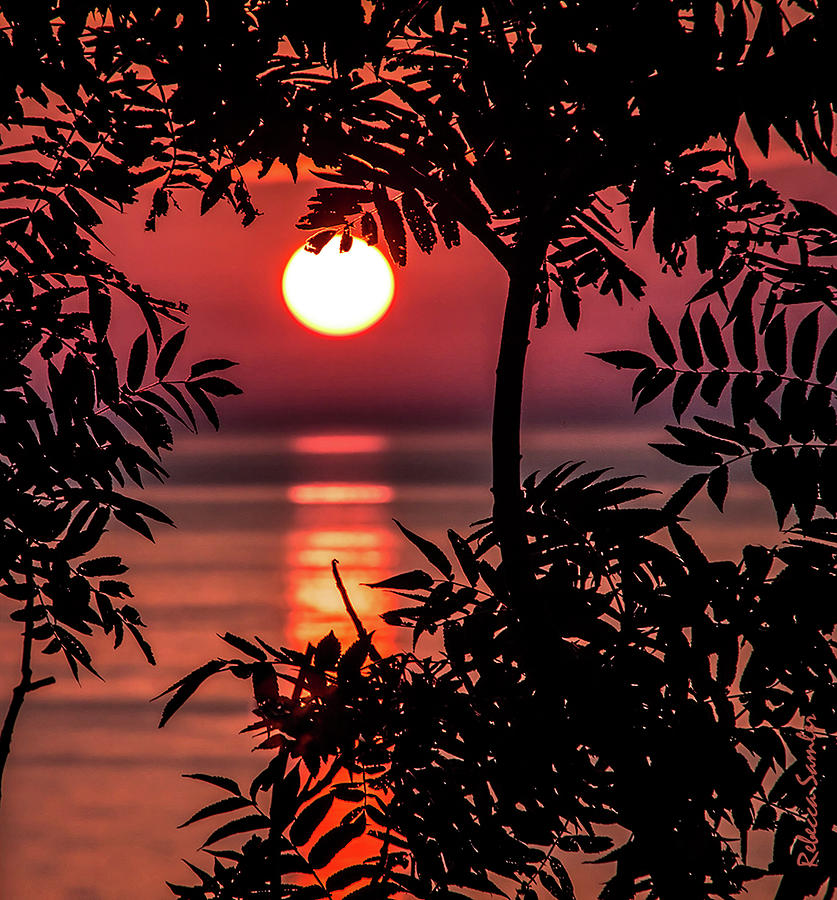 Sunset Silhouette Photograph by Rebecca Samler
