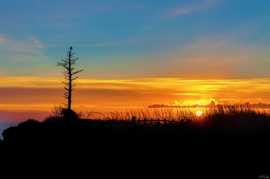 Sunset Silhouetted Lone Snag Photograph by Dee Browning