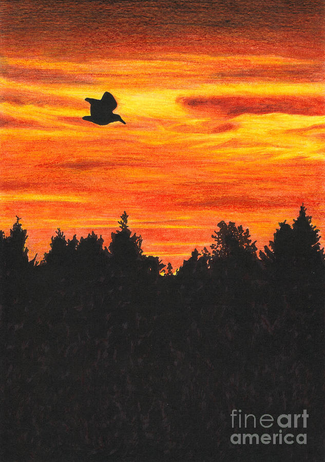 Sunset Sky With Bird Drawing By Marylene Charvet