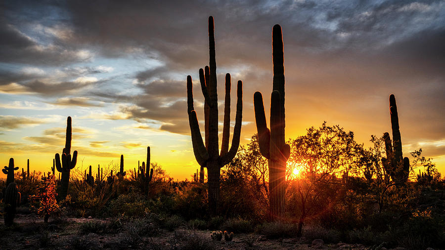 Sunset Somewhere In The Sonoran Photograph by Saija Lehtonen - Fine Art ...