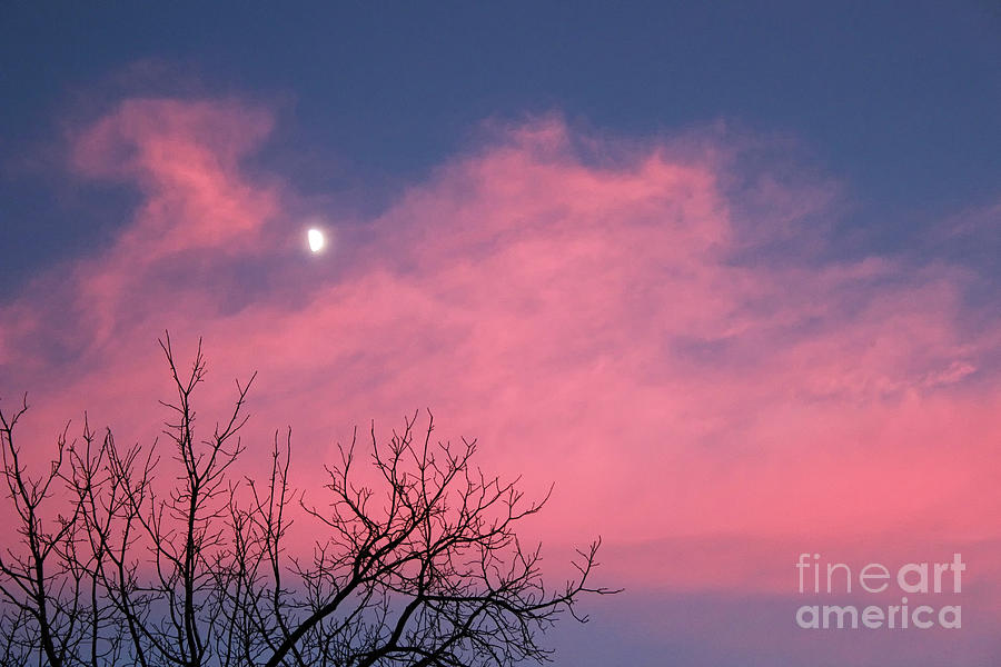 Sunset Sonata Photograph by Karen Adams