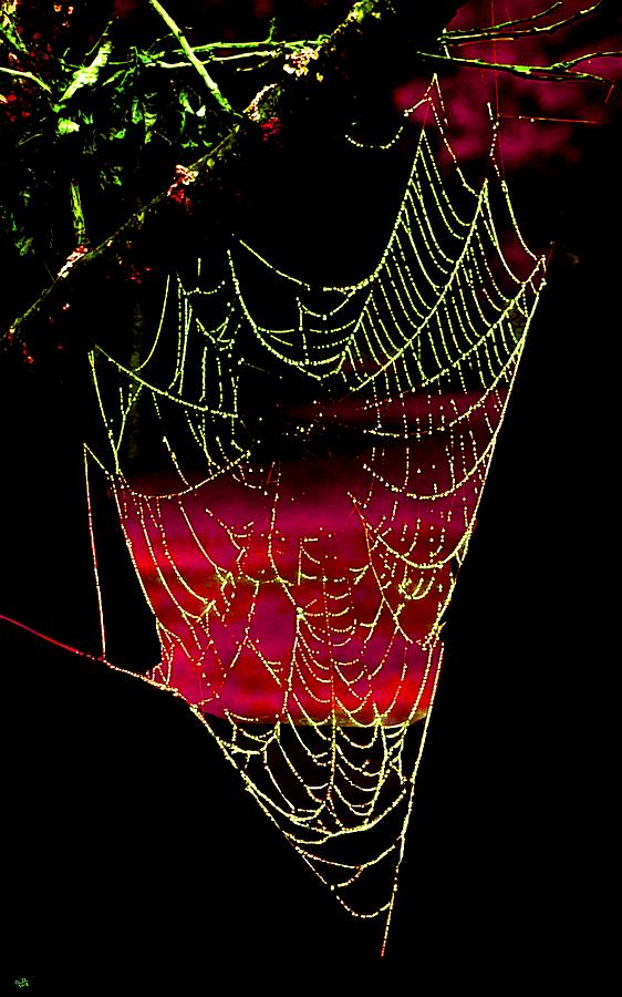 Sunset Spider Web Digital Art by Cliff Wilson