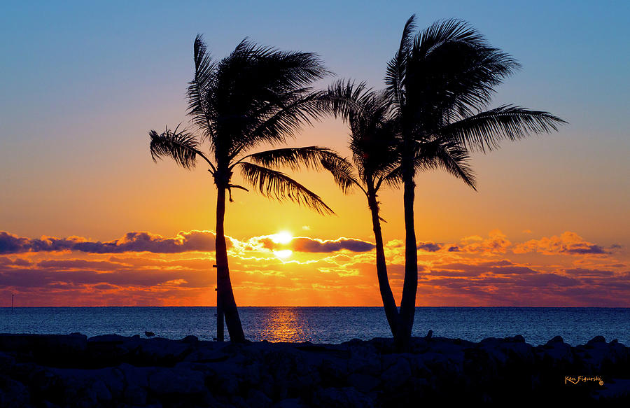 Sunset Through The Palms Key Largo Florida Photograph by Ken Figurski