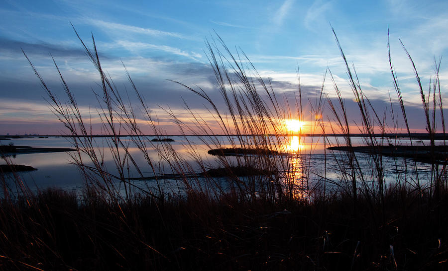 Sunset Through The Reeds Photograph by Sharon Mayhak