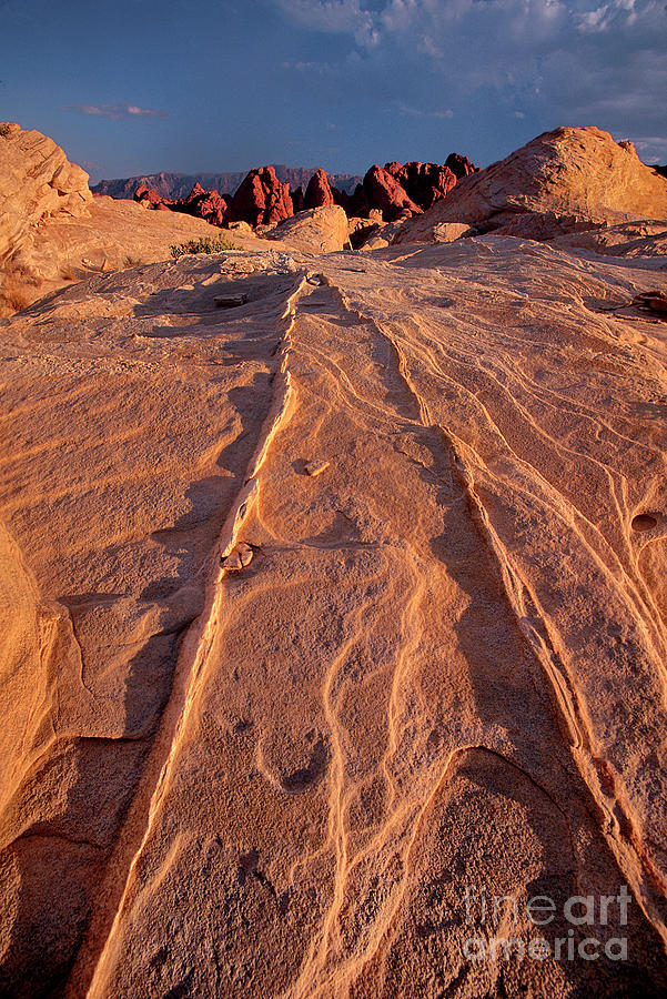 Sunset Valley Of Fire State Park Nevada Photograph by Dave Welling