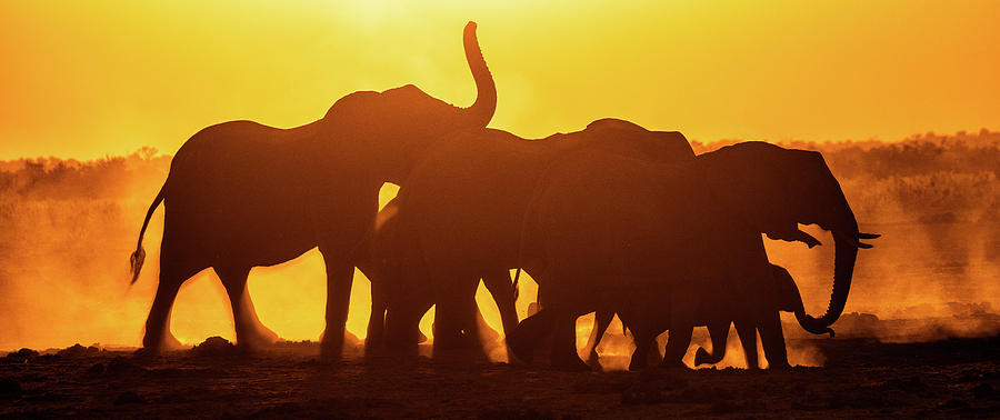 Sunset water hole Photograph by Peter Crook | Fine Art America