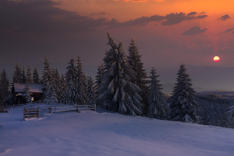 Sunset Winter Landscape With A Cabin In Background Photograph by Vio Oprea