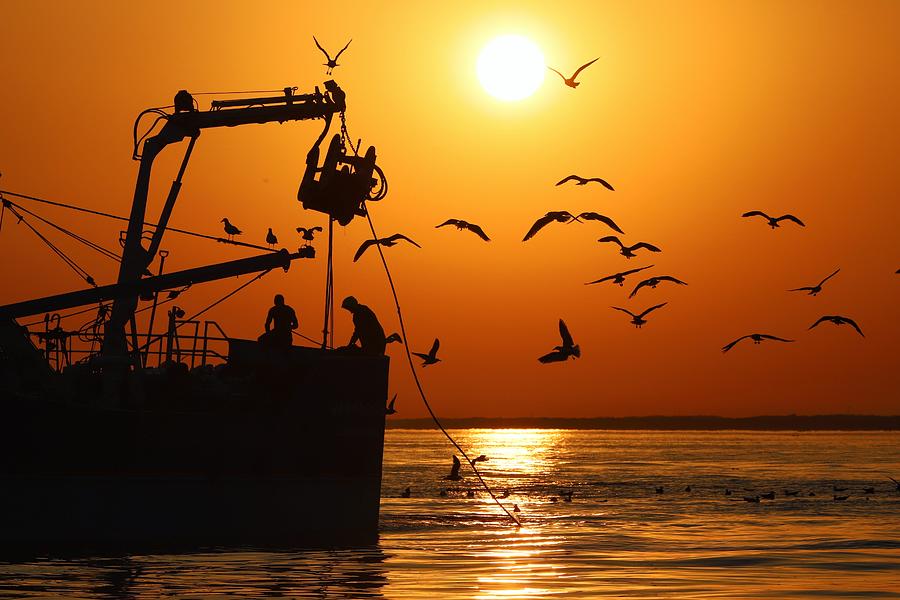 Still Life Photograph - Sunset Workers With Birds  by Barr Thierry