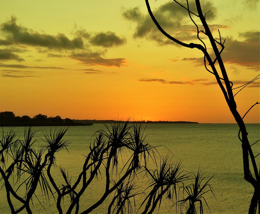 Sunset Yellow Photograph by Joan Stratton