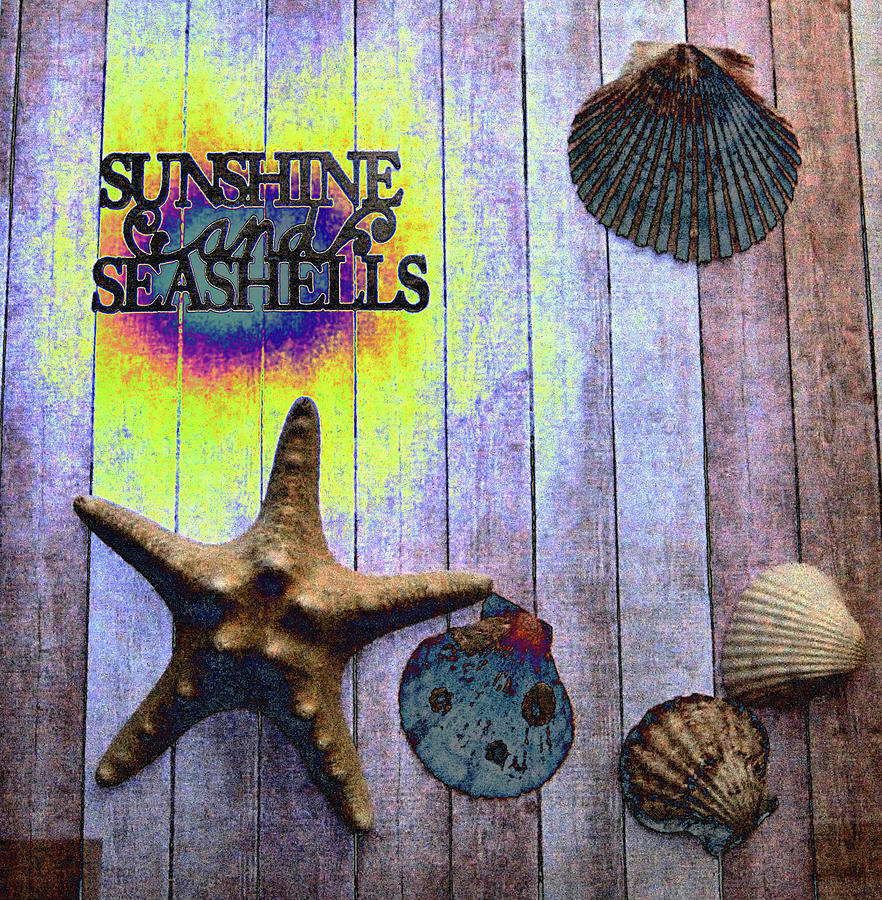 Shell Photograph - Sunshine And Seashells by Tom Kelly