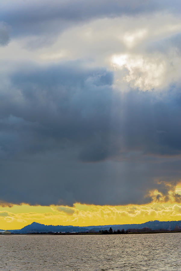 Sunshine at Padilla Bay Digital Art by Michael Lee