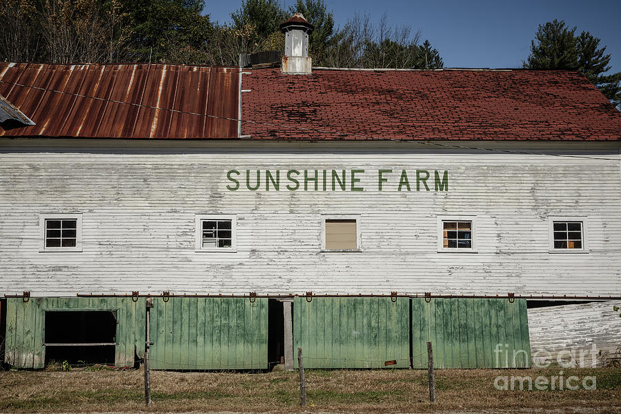 Sunshine Farm Photograph by Edward Fielding