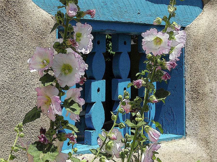 Sunshine Hollyhocks by Western Light Graphics Sunshine Hollyhocks by Western Light Graphics
