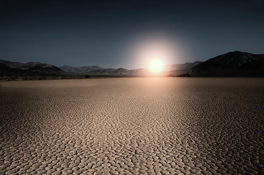 Sunshine In A Desert Photograph by Buena Vista Images
