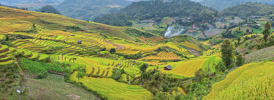 Sunshine In Terraced Fields Photograph by Long Hoang