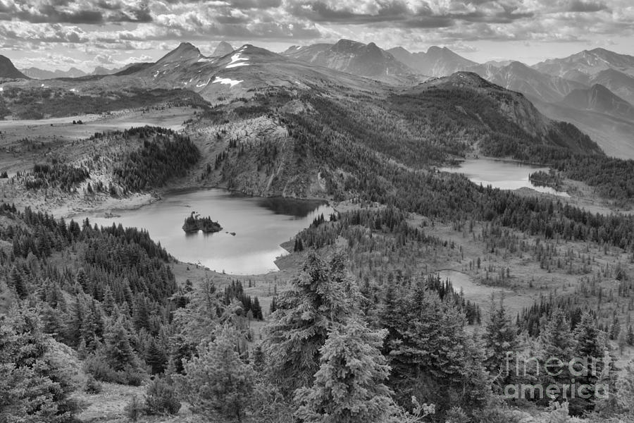 Sunshine Meadows Overlook Black And White Photograph by Adam Jewell