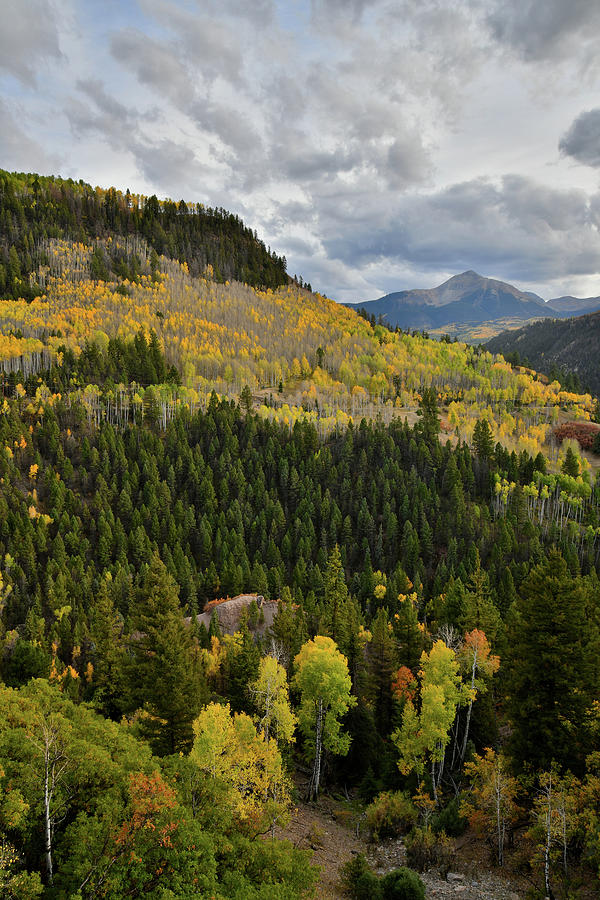 Sunshine Mountain and Fall Colors from Highway 145 near Telluride Photograph by Ray Mathis