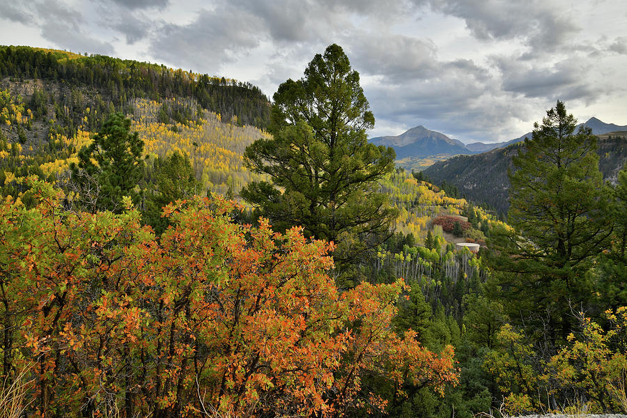 Sunshine Mountain and Fall Colors from Highway 145 Photograph by Ray Mathis