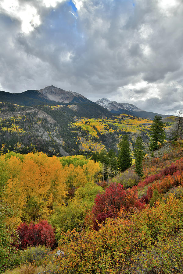 Sunshine Mountain and Mt. Wilson Fall Colors Photograph by Ray Mathis