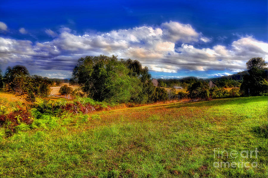 Sunshine on Country Landscape by Kaye Menner Photograph by Kaye Menner