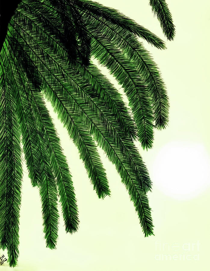 Sunshine - Palm - Leaf Drawing by D Hackett