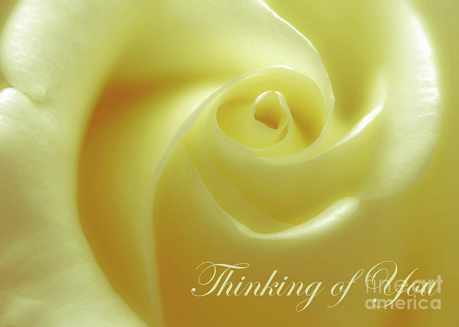 Greeting Photograph - Sunshine Rose Thinking Of You by Banyan Ranch Studios Greeting Photograph - Sunshine Rose Thinking Of You by Banyan Ranch Studios