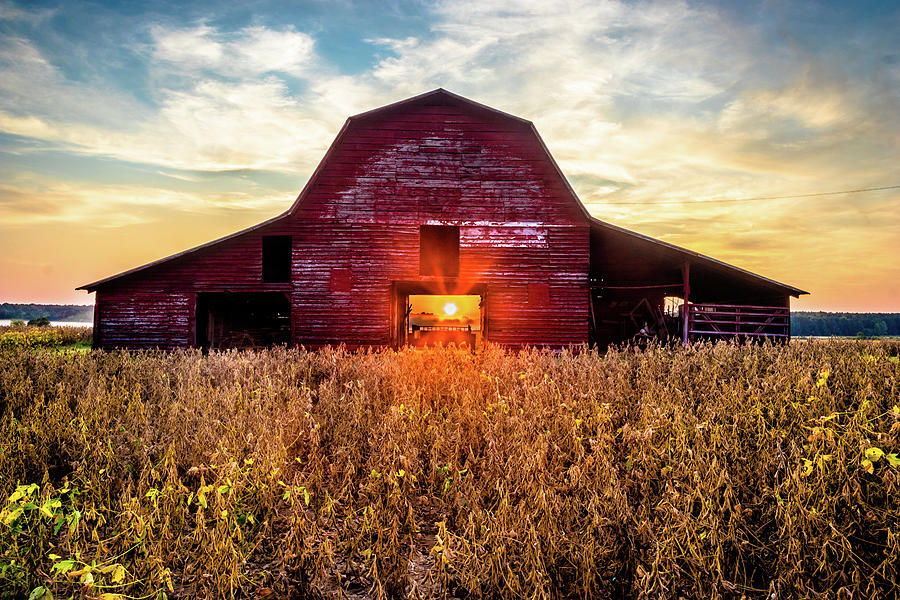 Sunshine through The Barn Photograph by Jordan Hill