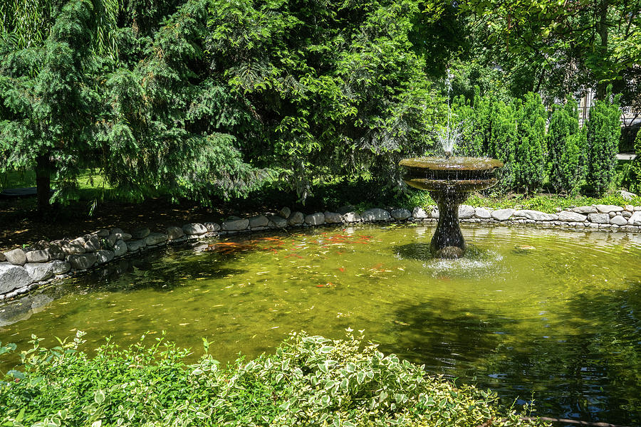 Sunshiny Summertime Fountain Hugged by Greenery Photograph by Georgia Mizuleva