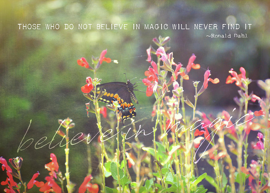 Butterfly Photograph - SUNSTRUCK quote by JAMART Photography