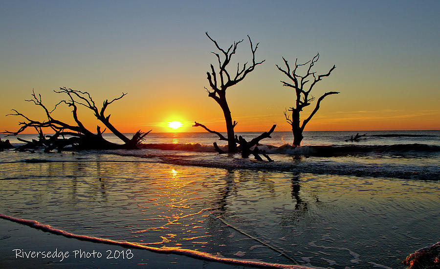 SunsUp by Ree Reid SunsUp by Ree Reid