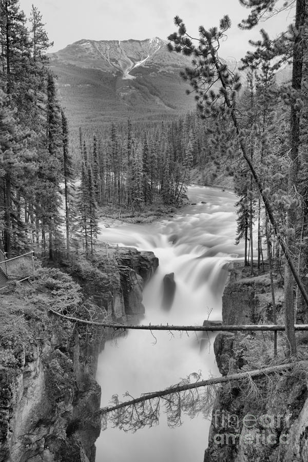 Sunwapta Falls Summer Portrait Black And White Photograph by Adam Jewell