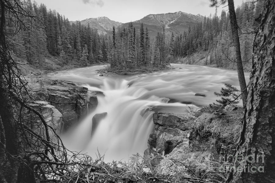 Sunwapta Falls Through The Trees Black And White Photograph by Adam Jewell