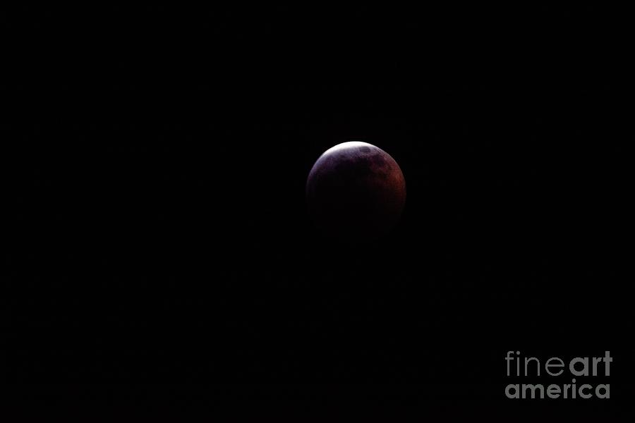 Super Blood Wolf Moon - 4 Photograph by David Bearden