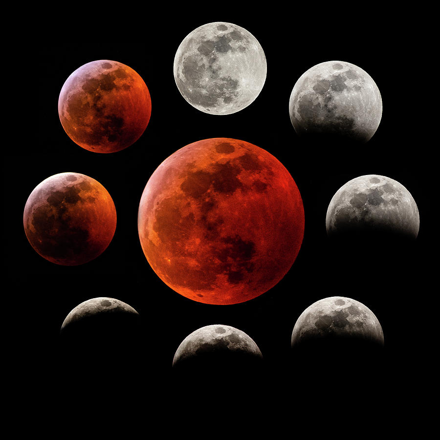 Super Blood Wolf Moon Eclipse Photograph by Gary Kochel