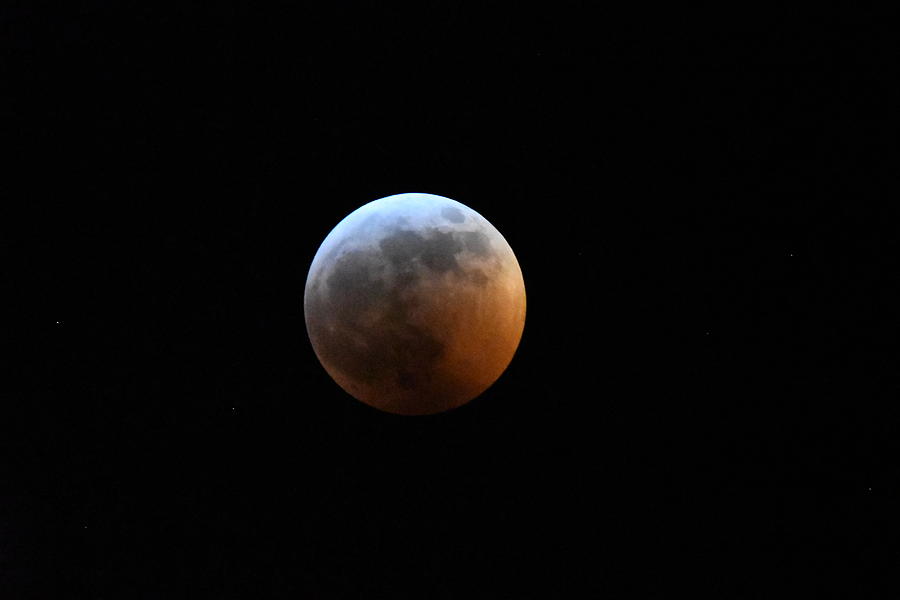 Super Blood Wolf Moon Eclipse Photograph by Richard Bryce and Family ...