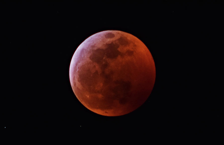 Super Blood Wolf Moon Photograph by Larah McElroy