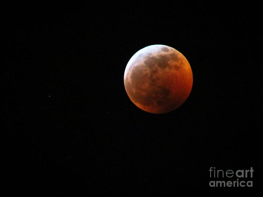Super Blood Wolf Moon Lunar Eclipse 2019 29407 Photograph by Robert Knight