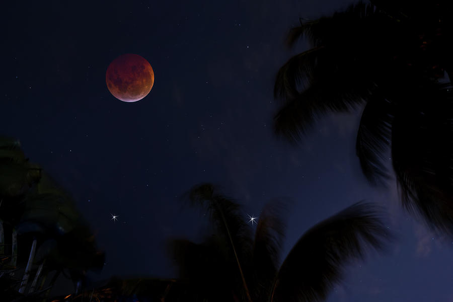 Super Blood Wolf Moon Photograph by Mark Andrew Thomas