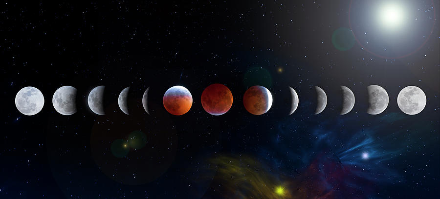 Super Blood Wolf Moon Phases Photograph by Mark Andrew Thomas
