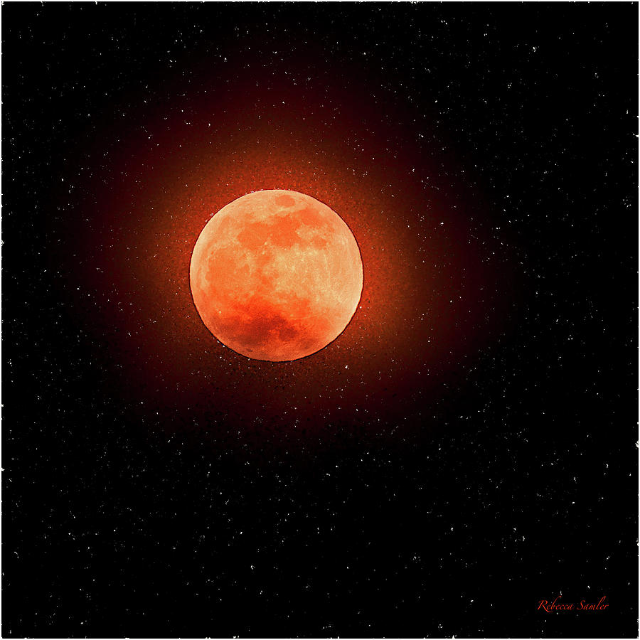 Super Blood Wolf Moon Photograph by Rebecca Samler