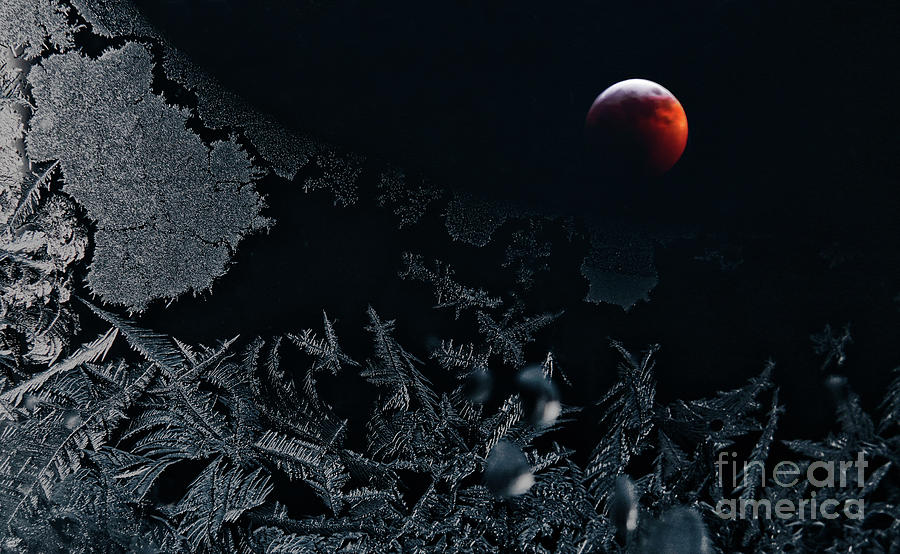 Super Blood Wolf Moon Through Window Frost Photograph by Charline Xia