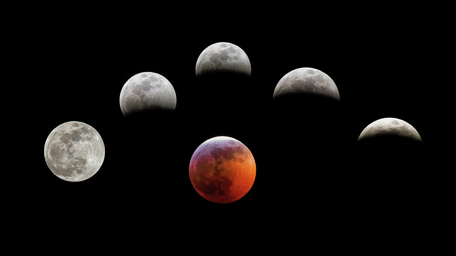 Super Blood Wolf Moon by Van Sutherland Super Blood Wolf Moon by Van Sutherland