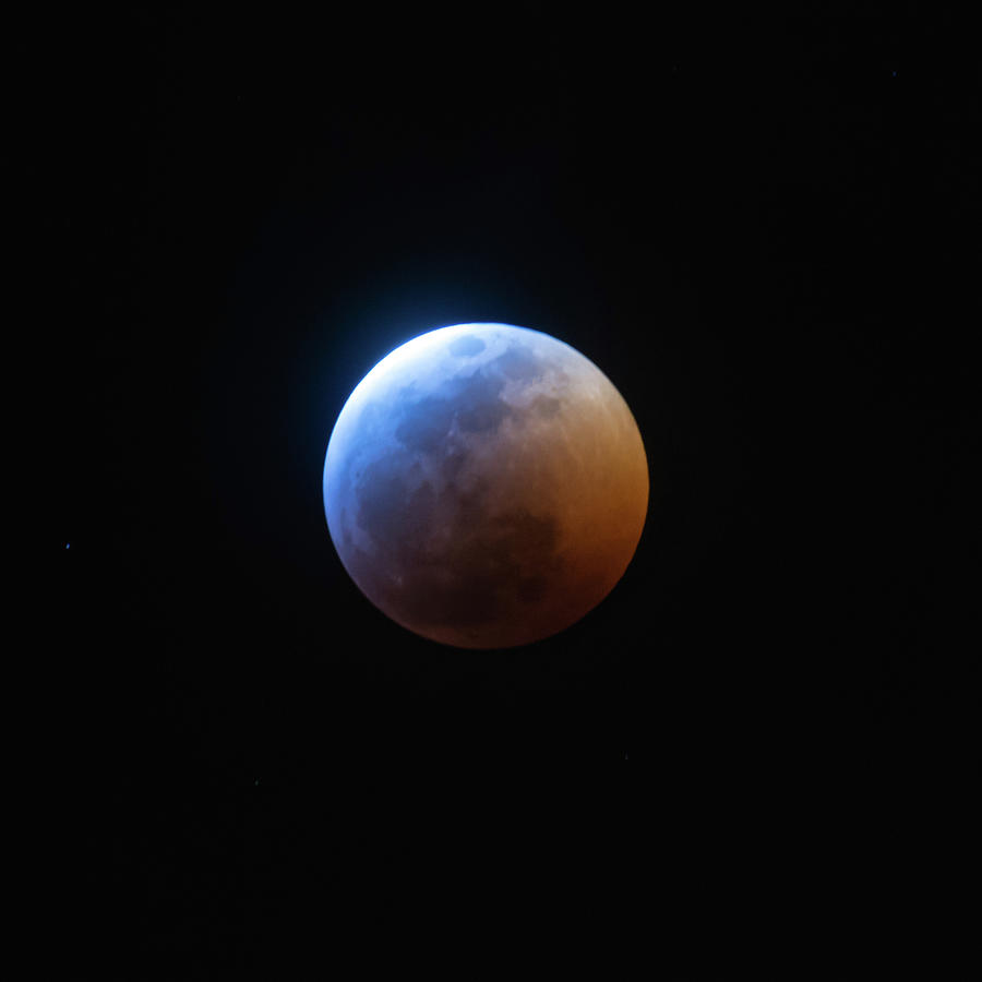 Nature Photograph - Super Blue Blood Moon 2018 by Rebecca Herranen