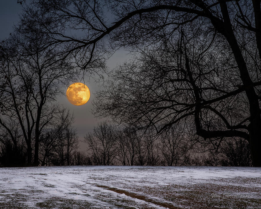Super Blue Moon Rising 3 Photograph by William Christiansen