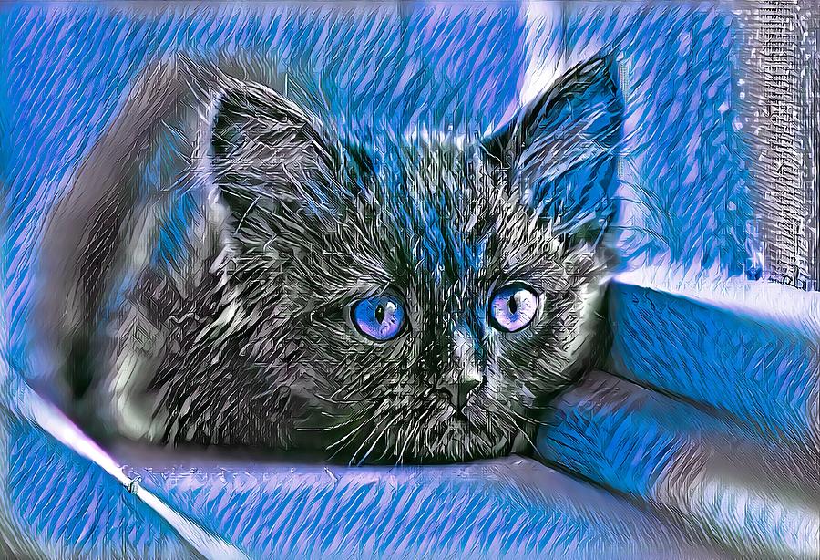 Super Cool Black Cat Blue Eyes Digital Art by Don Northup