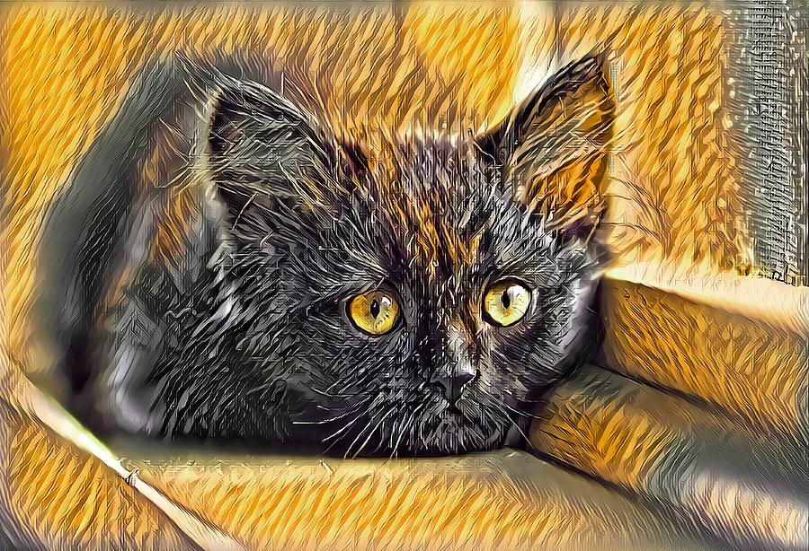 Super Cool Black Cat Gold Eyes Digital Art by Don Northup